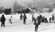 Thumbnail bb209.jpg 