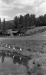 Thumbnail bb406.jpg 