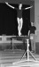 Thumbnail bb354.jpg 