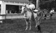 Thumbnail bb285.jpg 