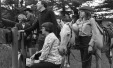 Thumbnail bb294.jpg 