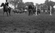 Thumbnail bb295.jpg 