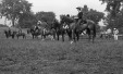 Thumbnail bb296.jpg 