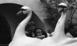 Thumbnail bb364.jpg 