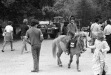 Thumbnail bb301.jpg 