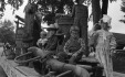 Thumbnail bb317.jpg 