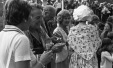 Thumbnail bb323.jpg 