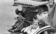 Thumbnail bb371.jpg 