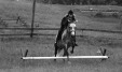 Thumbnail bb380.jpg 