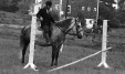 Thumbnail bb381.jpg 