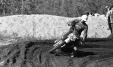 Thumbnail bb427.jpg 
