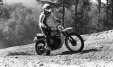 Thumbnail bb433.jpg 
