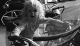 Thumbnail bb536.jpg 