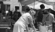 Thumbnail bb593.jpg 