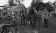 Thumbnail bb672.jpg 