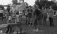 Thumbnail bb673.jpg 