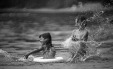Thumbnail bb625.jpg 