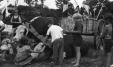 Thumbnail bb493.jpg 