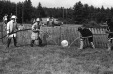 Thumbnail bb494.jpg 
