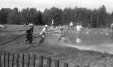 Thumbnail bb547.jpg 