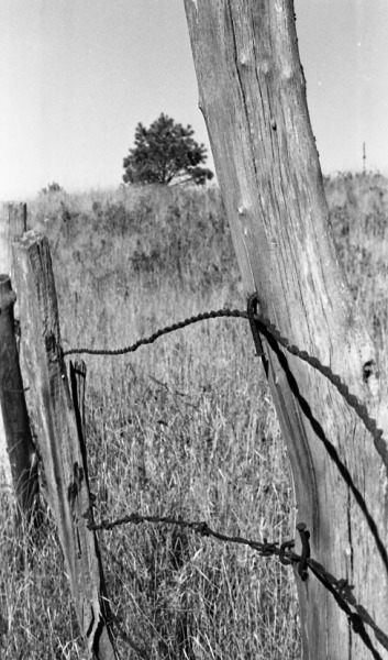 Scaled image bb176.jpg 