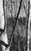 Thumbnail bb171.jpg 