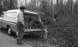 Thumbnail bb130.jpg 