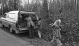 Thumbnail bb131.jpg 