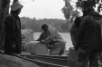 Thumbnail bb381.jpg 