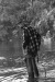 Thumbnail bb386.jpg 