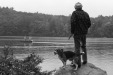 Thumbnail bb393.jpg 