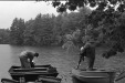 Thumbnail bb398.jpg 