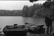 Thumbnail bb399.jpg 