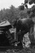 Thumbnail bb400.jpg 