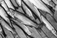 Thumbnail bb408.jpg 