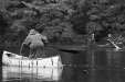 Thumbnail bb427.jpg 