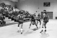 Thumbnail scan397.jpg 