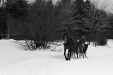 Thumbnail bb539.jpg 