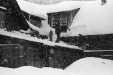 Thumbnail bb606.jpg 