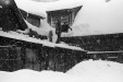 Thumbnail bb607.jpg 