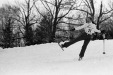 Thumbnail bb524.jpg 