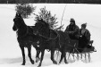 Thumbnail bb588.jpg 
