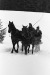 Thumbnail bb590.jpg 