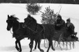 Thumbnail bb591.jpg 