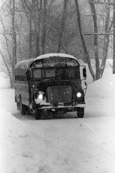 Scaled image bb486.jpg 