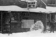 Thumbnail bb501.jpg 