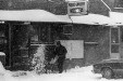 Thumbnail bb503.jpg 