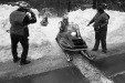 Thumbnail scan382.jpg 