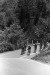 Thumbnail bb742.jpg 