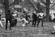 Thumbnail bb1044.jpg 